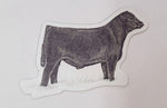 CJ Brown Angus Bull Magnet