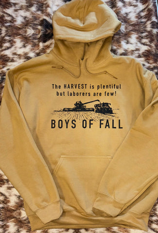 Boys Of Fall Hoodie