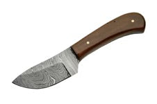 Damascus Skinner Fixed Steel Blade Knife with Walnut Handles