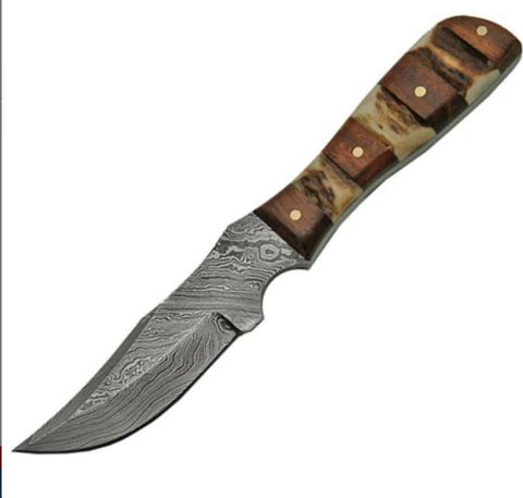 Damascus Mini Hunter Stag Bone & Wood Handle Knife