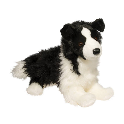 Border Collie-Chase