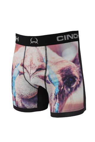 Aflyko Novelty Boxer Shorts Cute Watercolor Horse Brown Foal Relaxed Fit  Boxers Men's Underwear, Multicolor, Medium : : Clothing, Shoes &  Accessories