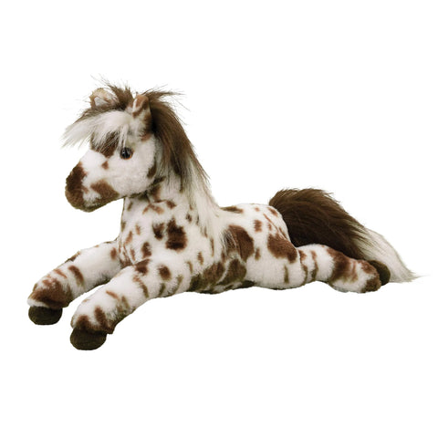 Appaloosa Horse-Duke